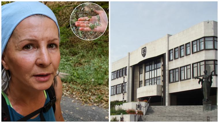 Zo zlatej vane ťažko pochopíte, aké je na Slovensku sucho. Turistka Danka chce politikom otvoriť oči