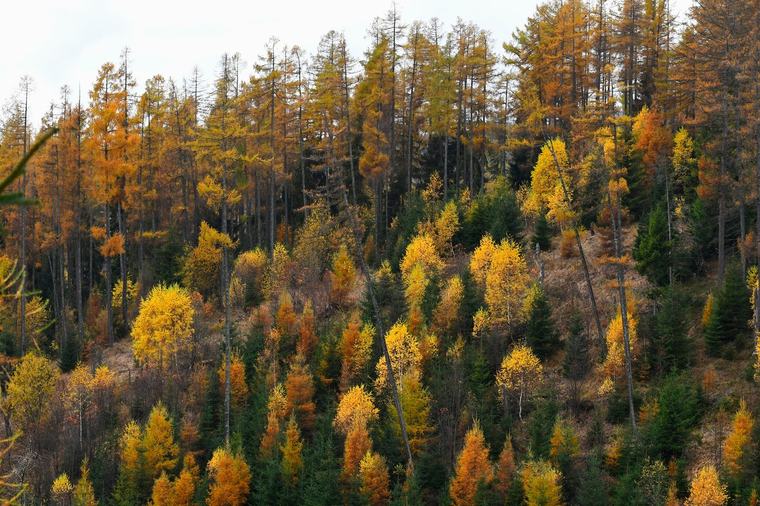 Na území národného parku Šumava uniká do pôdy yperit