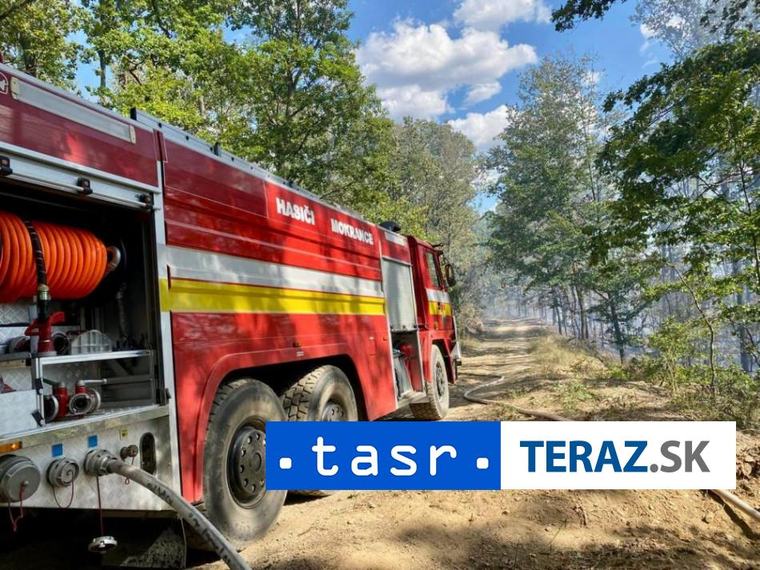 Pri Vyšnom Medzeve horí les