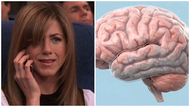 Vedci dvadsať rokov skúmajú neurón Jennifer Aniston. Výsledky ich fascinujú viac, než pôvodne čakali