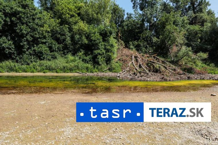 PS kritizuje vládne nastavenie podpory pre agrosektor