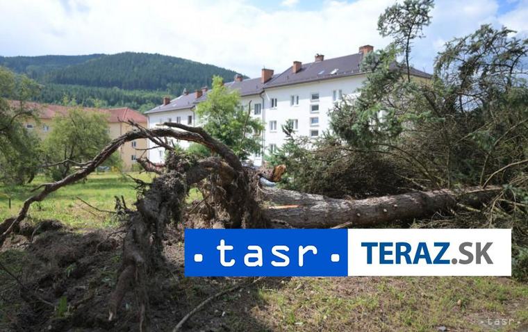 Mestské lesy Košice budú odstraňovať vyvrátené stromy