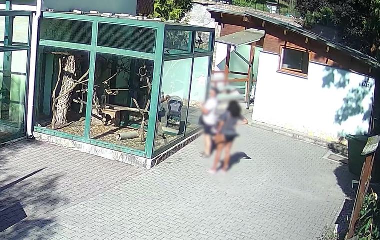Návštevníci kŕmia zvieratá hotdogmi, langošmi aj pečivom. V ZOO Bojnice zvyšujú kontroly