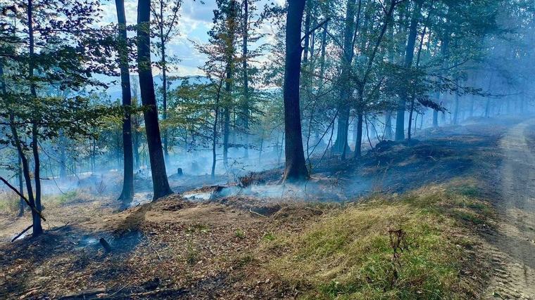 Plamene sa nekontrolovateľne šíria na východe Slovenska: V akcii je už aj armádny vrtuľník