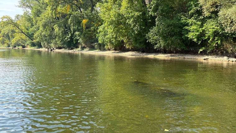 FOTO Obrovské sucho odhalilo nebezpečenstvo vo Váhu: Z vody trčia kusy... Ľudia sa obávajú o zdravie!