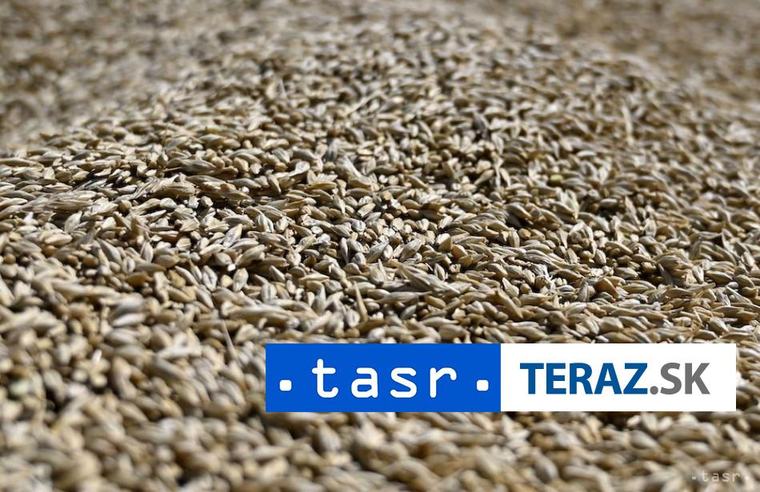 Agro: Ruskí exportéri presúvajú dodávky obilia do baltských prístavov